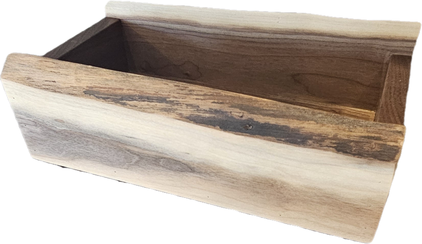 Walnut live edge gift box